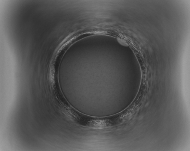 X0000116580295200912171529