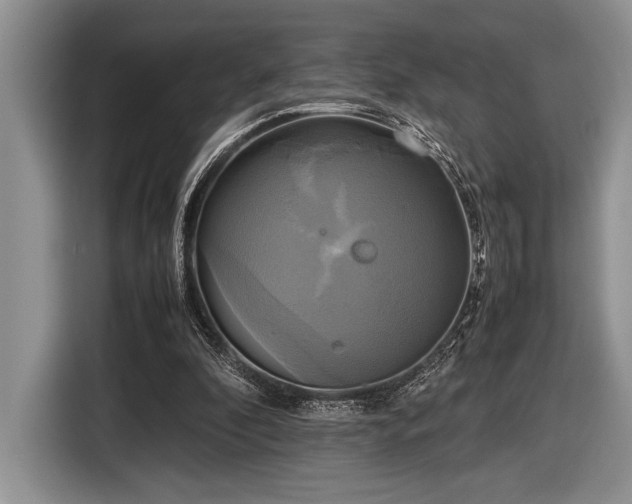 X0000116580296200912171529