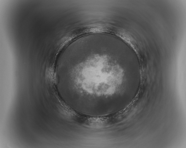 X0000116580297200912171529