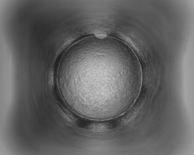 X0000116580299200912171529