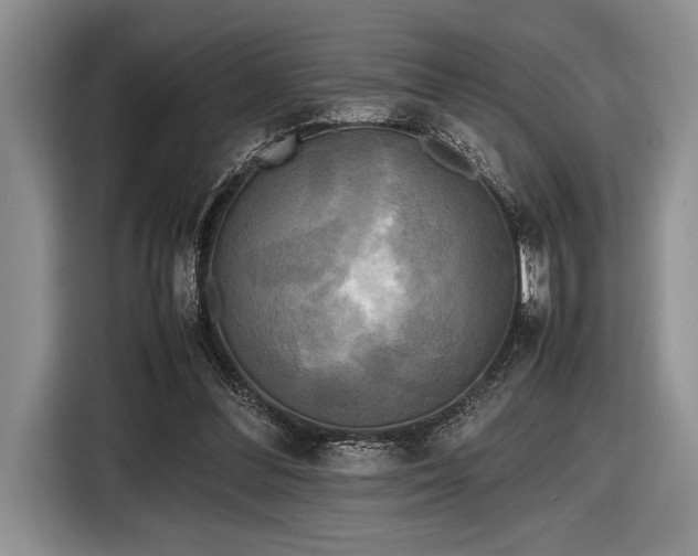 X0000116580300200912171529