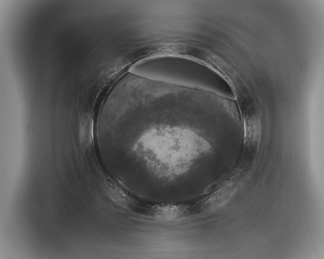 X0000116580301200912171529