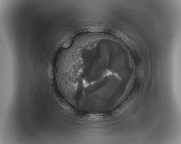 X0000116580303200912171529