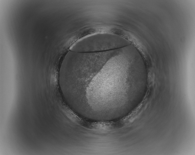 X0000116580305200912171529