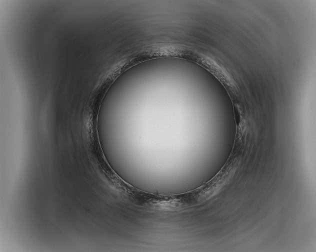 X0000116580306200912171529