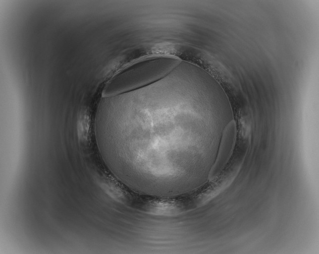 X0000116580308200912171529