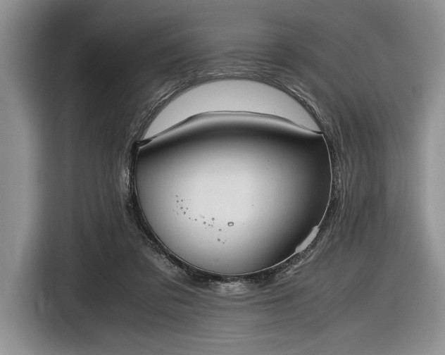 X0000116580309200912171529