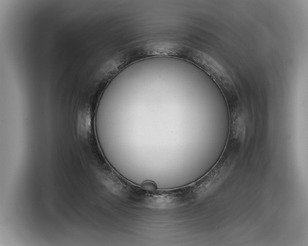 X0000116580310200912171529