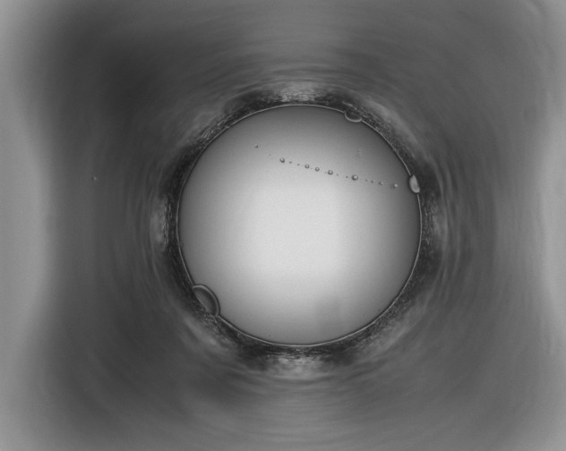 X0000116580311200912171529