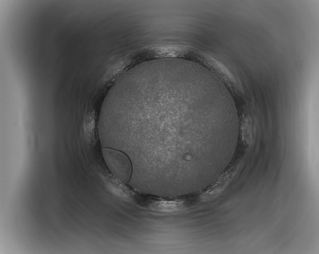 X0000116580314200912171529