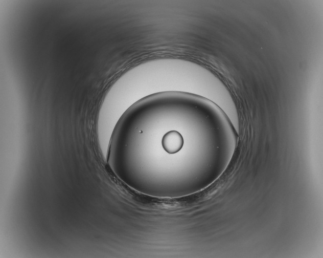 X0000116580317200912171529