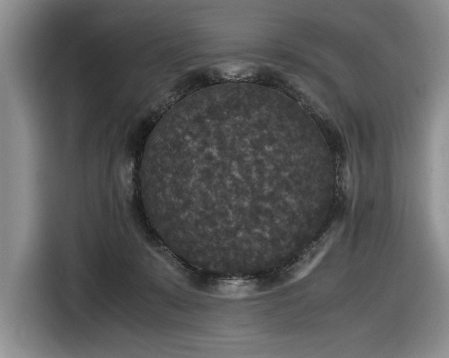 X0000116580319200912171529