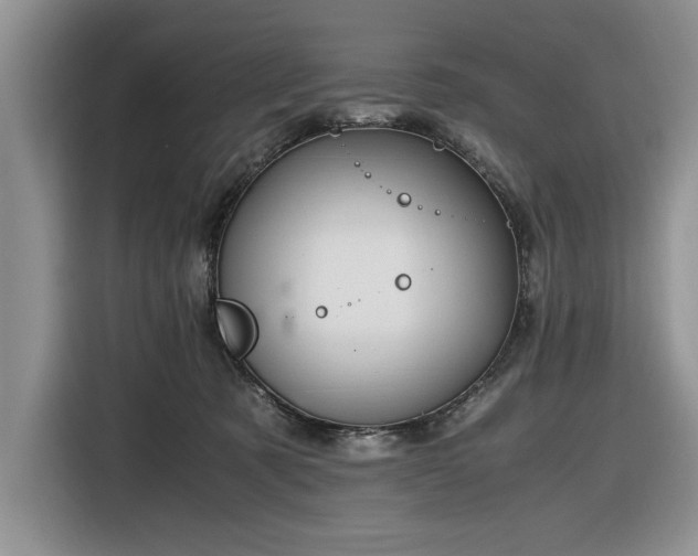 X0000116580321200912171529