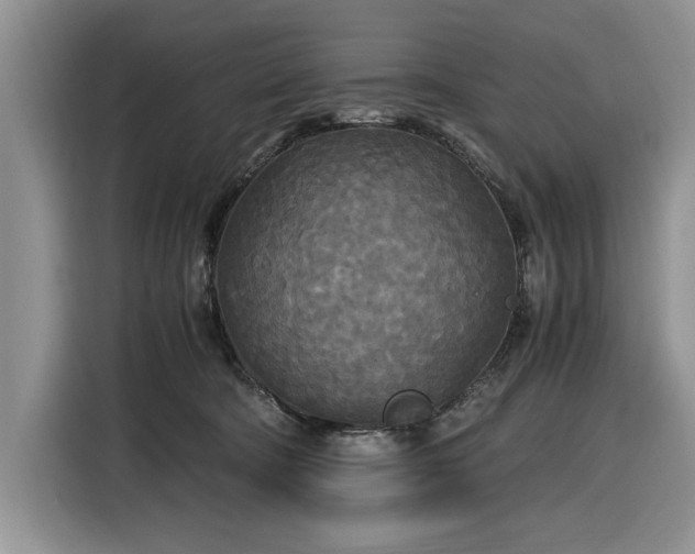 X0000116580322200912171529