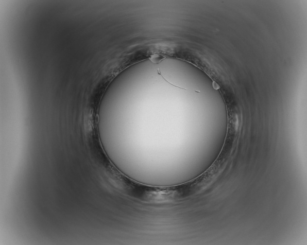 X0000116580323200912171529