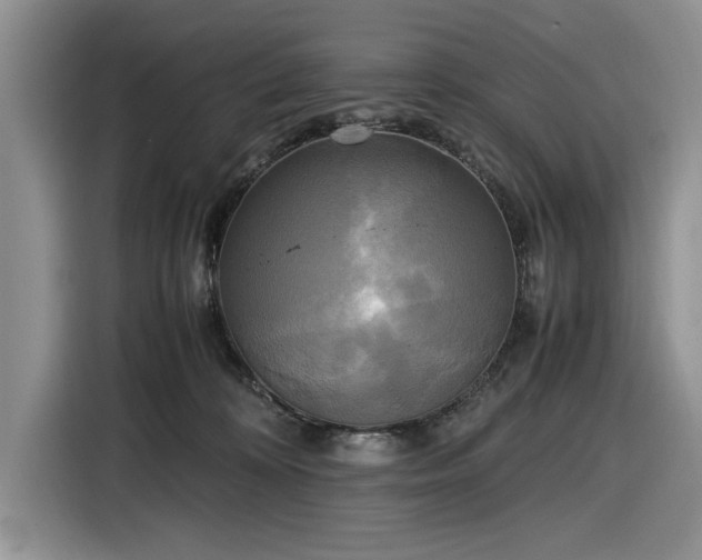 X0000116580324200912171529