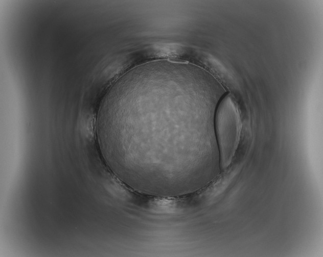 X0000116580325200912171529