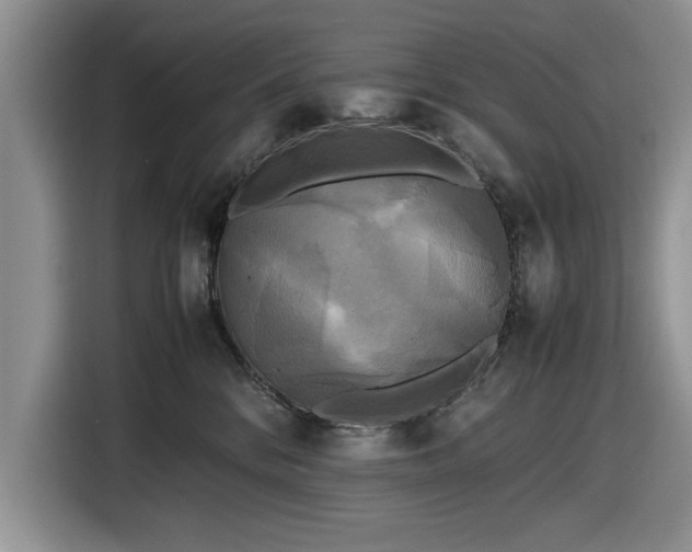 X0000116580328200912171529