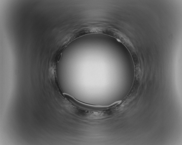 X0000116580329200912171529