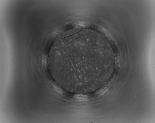 X0000116580331200912171529