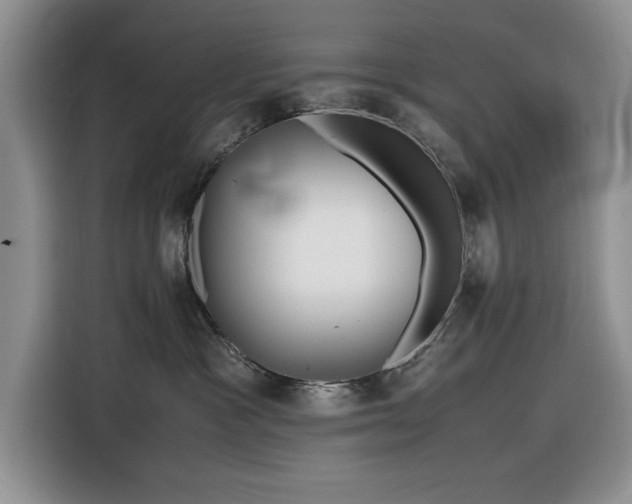 X0000116580333200912171529