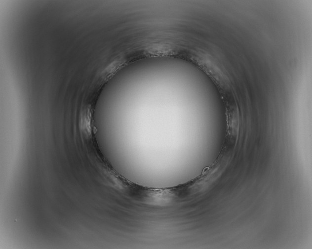 X0000116580334200912171529