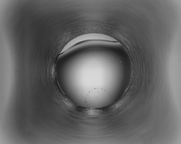 X0000116580336200912171529