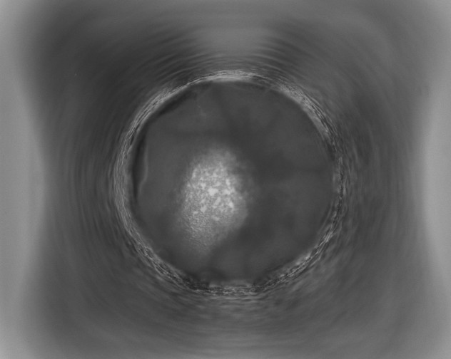 X0000116580337200912171528