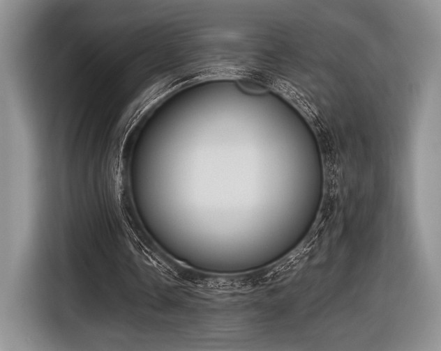 X0000116580338200912171528