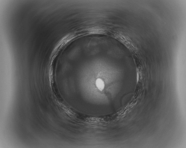 X0000116580339200912171528