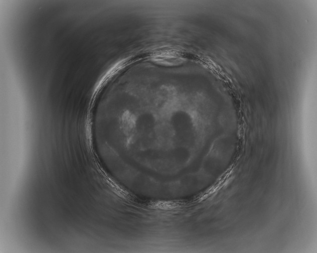 X0000116580341200912171528