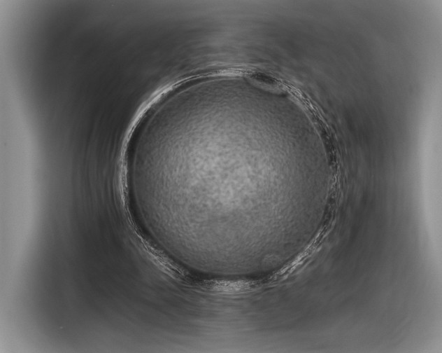 X0000116580342200912171528