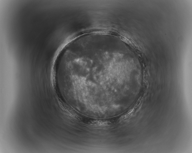 X0000116580343200912171528