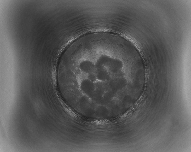 X0000116580345200912171528