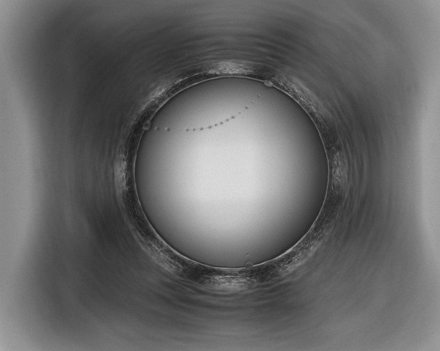 X0000116580351200912171528