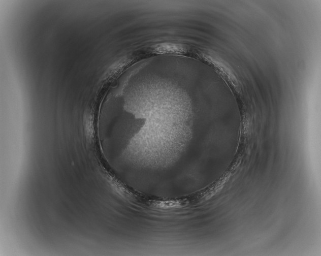 X0000116580353200912171528