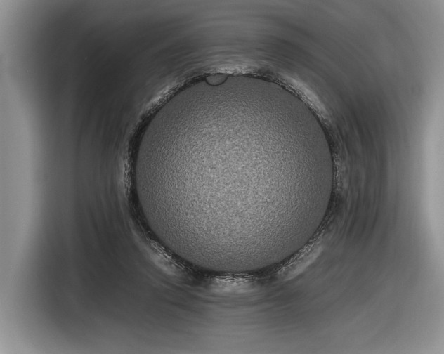 X0000116580354200912171528