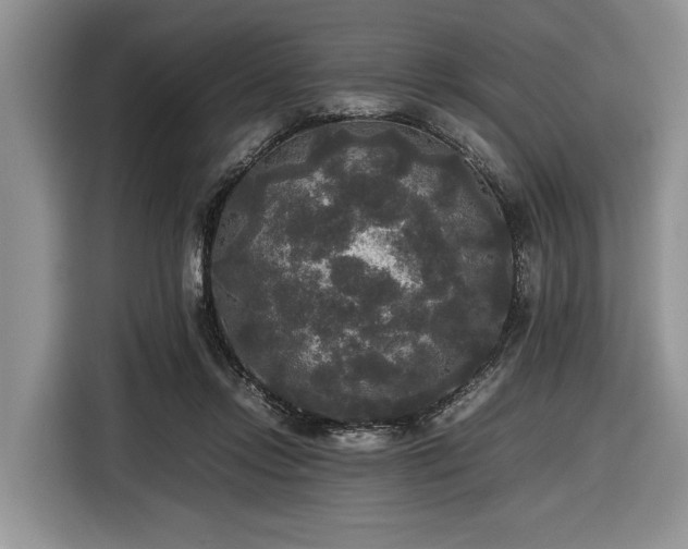 X0000116580358200912171528