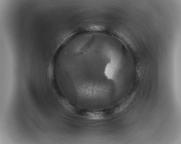 X0000116580359200912171528