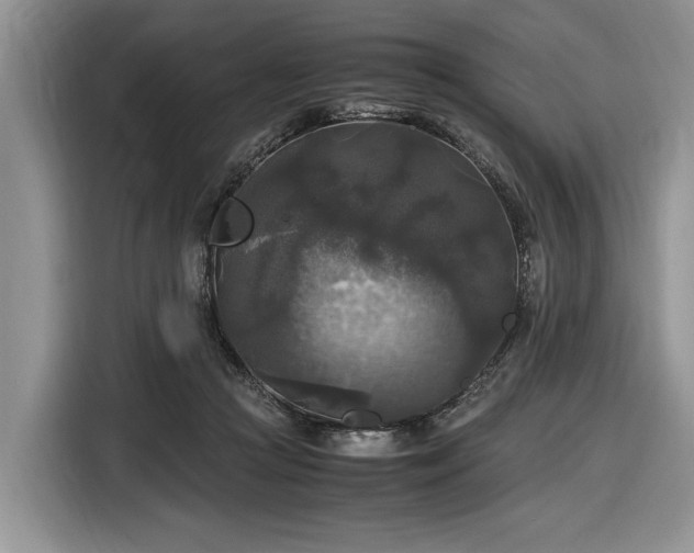 X0000116580361200912171528