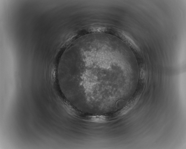 X0000116580363200912171528