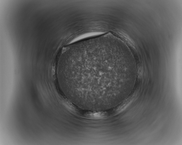 X0000116580365200912171528