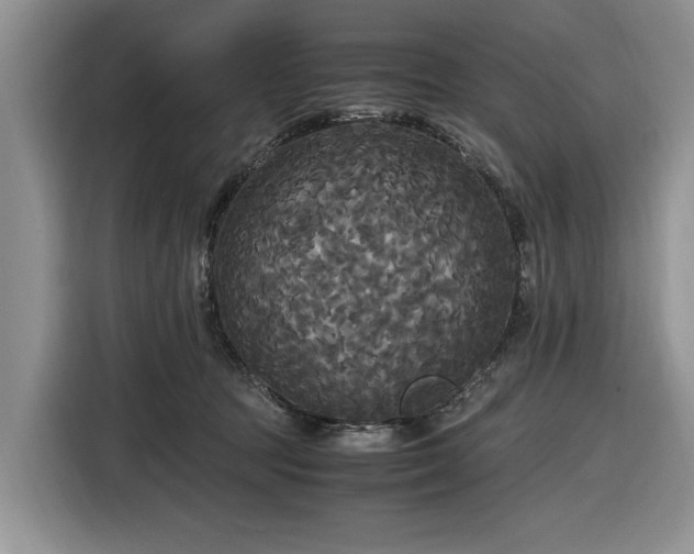 X0000116580369200912171528