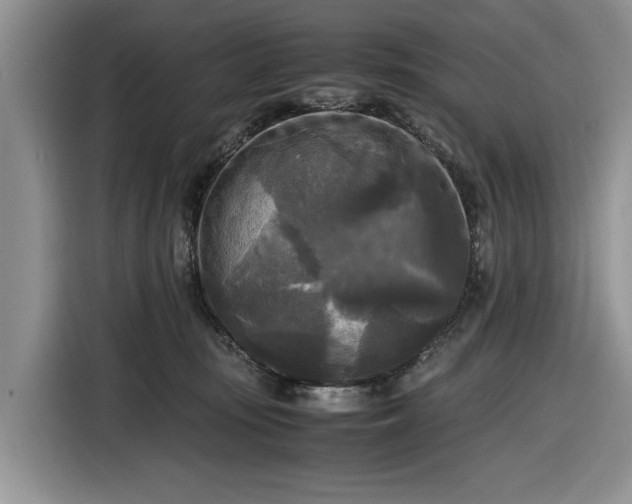 X0000116580371200912171528