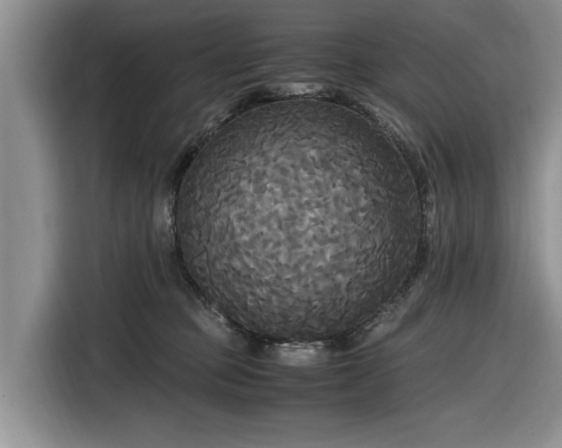 X0000116580373200912171528