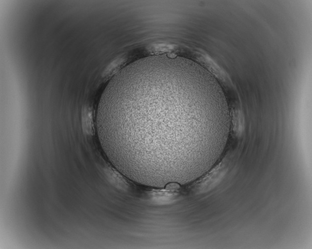 X0000116580378200912171528