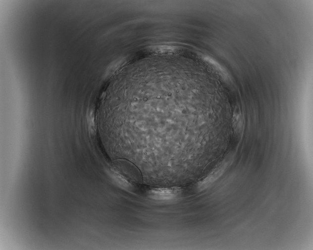 X0000116580381200912171529