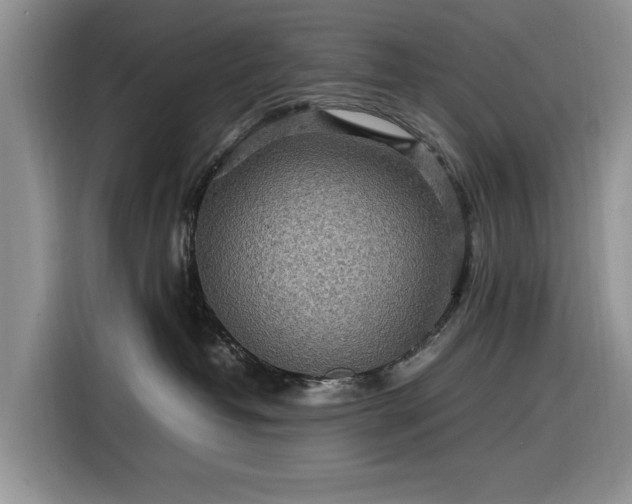 X0000116580382200912171529