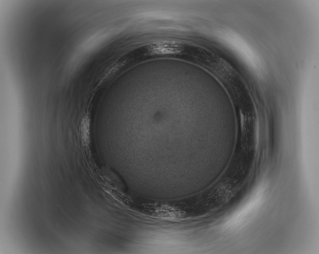 X0000116580387200912171528