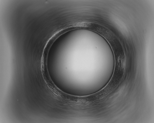 X0000116580388200912171528